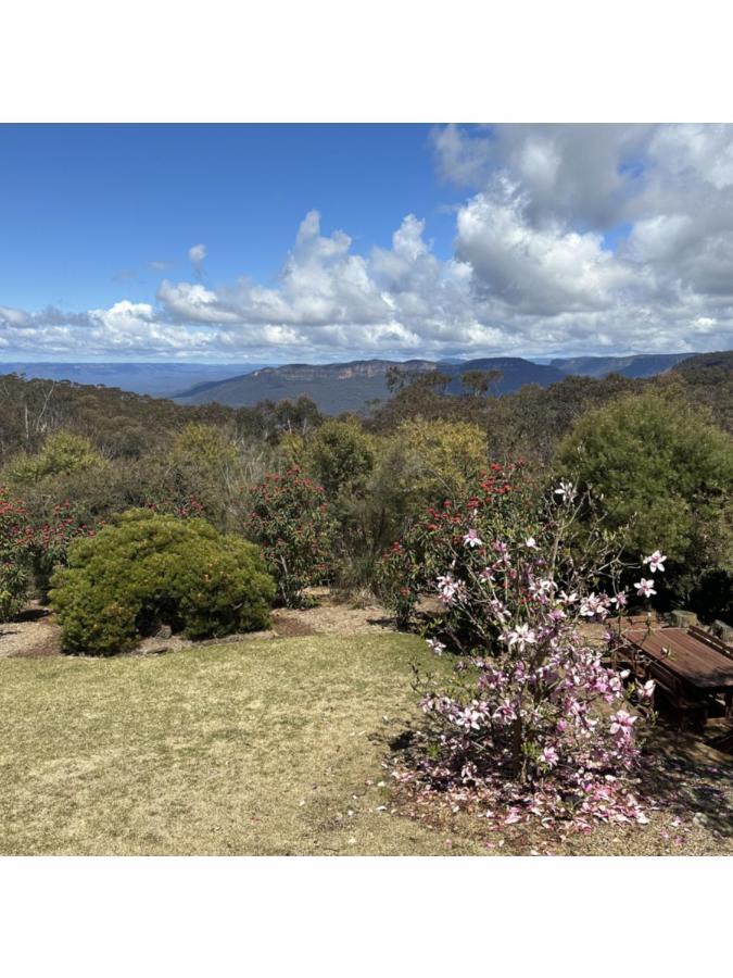 Valley Of The Waters B&B Wentworth Falls Exterior foto