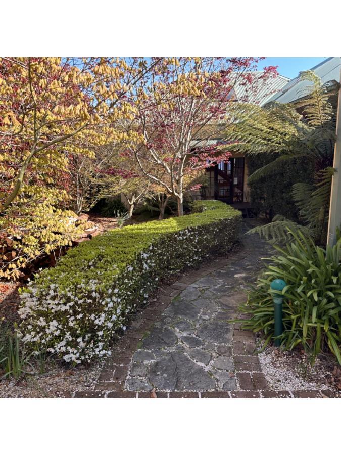Valley Of The Waters B&B Wentworth Falls Exterior foto