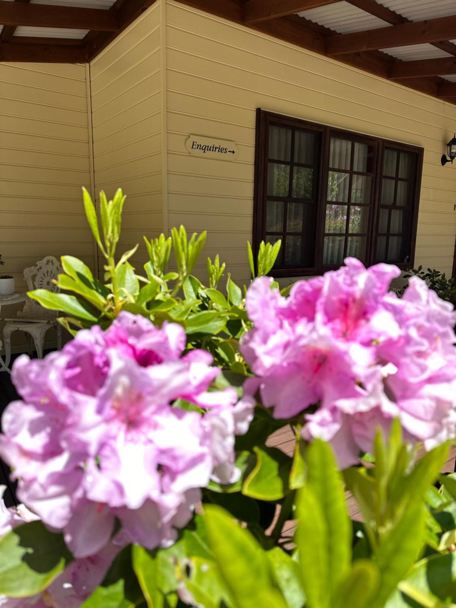 Valley Of The Waters B&B Wentworth Falls Exterior foto