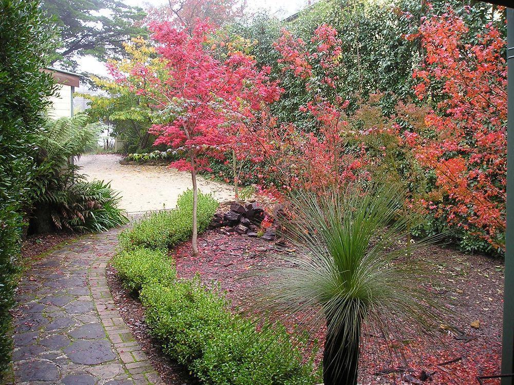 Valley Of The Waters B&B Wentworth Falls Exterior foto
