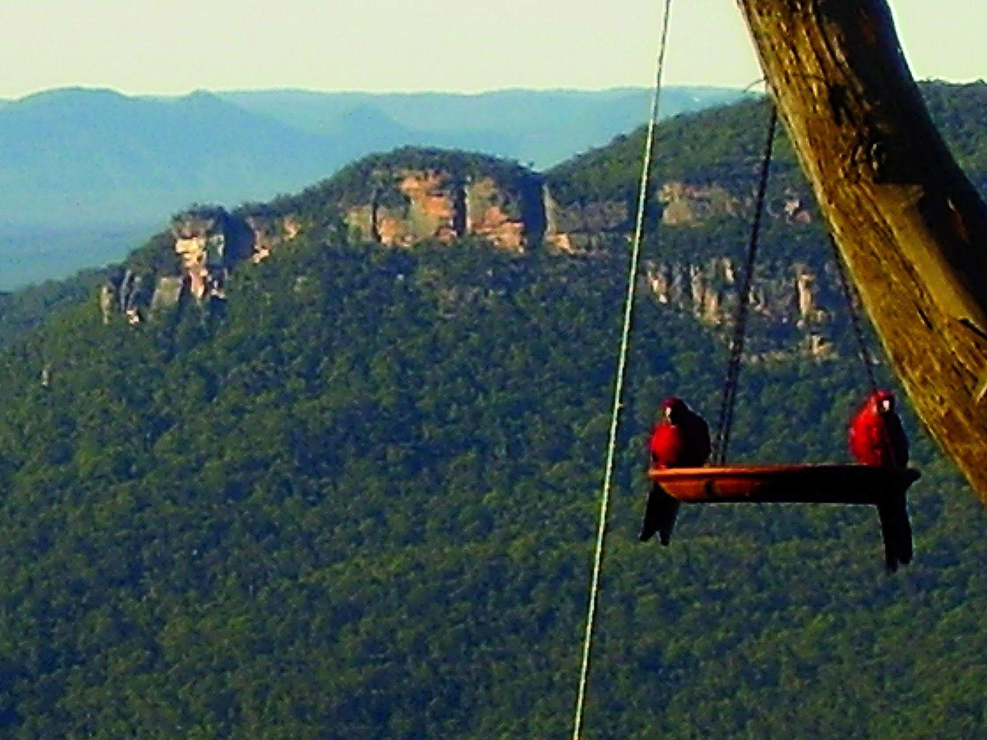 Valley Of The Waters B&B Wentworth Falls Exterior foto