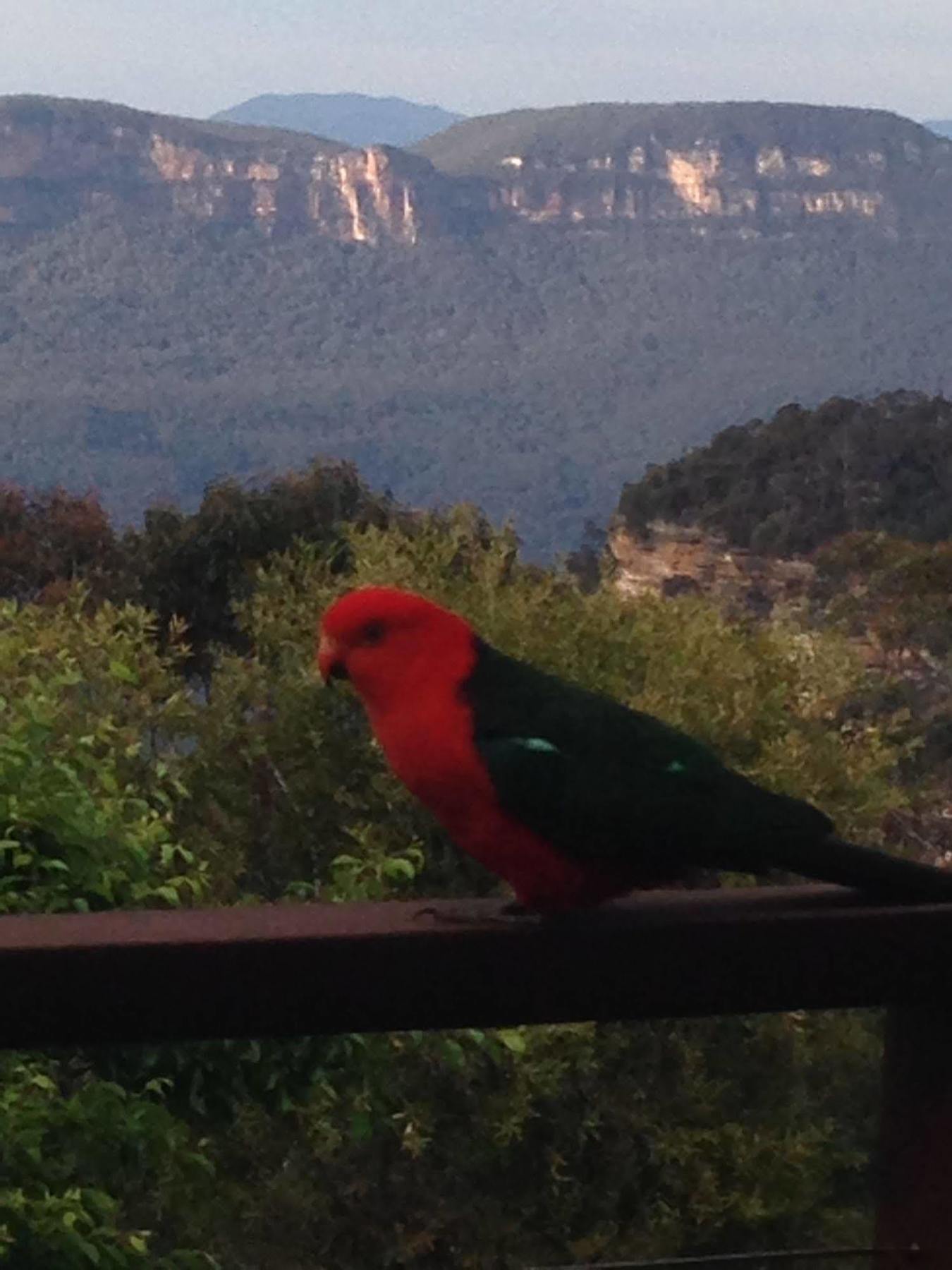 Valley Of The Waters B&B Wentworth Falls Exterior foto